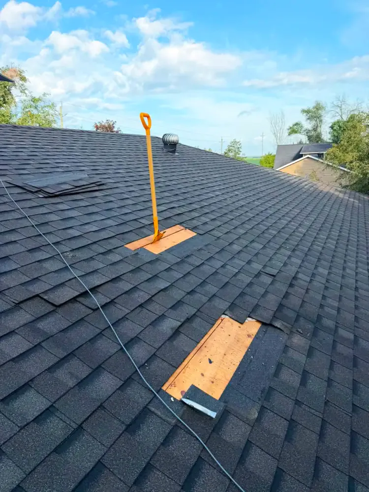 Sections of asphalt shingles stripped back to bare plywood roof decking during a leak repair