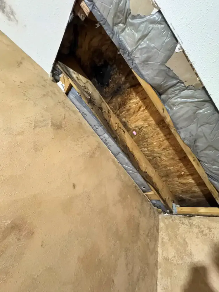 Heavy brown water staining across a ceiling with the drywall opened up to reveal soaked insulation and roof framing